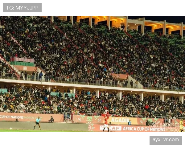 非洲杯争议判罚引众怒,球迷与专家各执一词 非洲杯争议判罚引众怒,球迷与专家各执一词